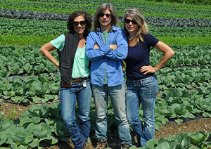 Hepworth Farms, Hudson Valley, NY